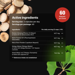 2x Bottle Erec Pro - 120 Kapseln