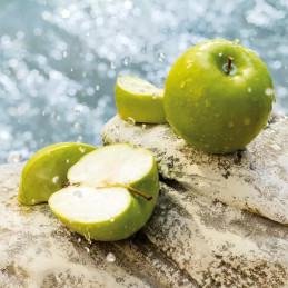 Dolce & Gabbana Light Blue Eau de Toilette Woman