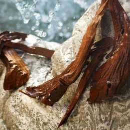 Dolce & Gabbana Light Blue Eau de Toilette Woman