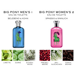 Ralph Lauren Big Pony